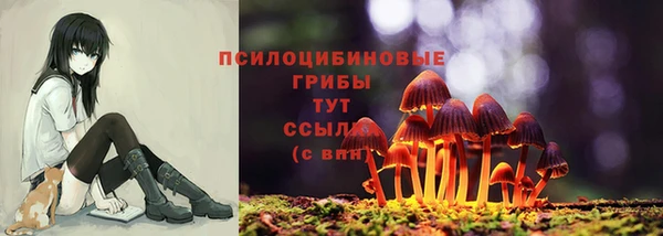 альфа пвп Белокуриха